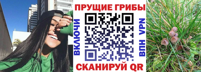 Галлюциногенные грибы мицелий  наркошоп  Рославль 